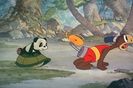 Andy Panda