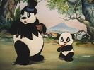 Andy Panda