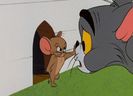 Tom si Jerry