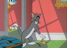 Tom si Jerry
