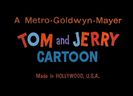 Tom si Jerry