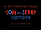 Tom si Jerry