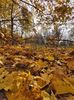 e20201105_132000