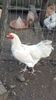 IMG-20201108-WA0113