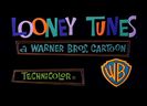 Road Runner and Wile E Coyote