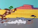 Road Runner and Wile E Coyote
