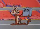 Road Runner and Wile E Coyote