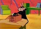 Road Runner and Wile E Coyote