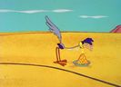 Road Runner and Wile E Coyote