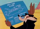 Road Runner and Wile E Coyote