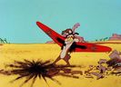 Road Runner and Wile E Coyote