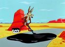 Road Runner and Wile E Coyote