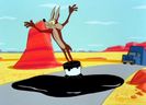 Road Runner and Wile E Coyote
