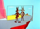 Road Runner and Wile E Coyote