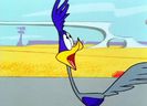 Road Runner and Wile E Coyote