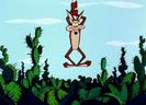 Road Runner and Wile E Coyote