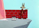 Road Runner and Wile E Coyote