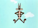 Road Runner and Wile E Coyote