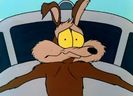 Road Runner and Wile E Coyote