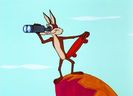 Road Runner and Wile E Coyote