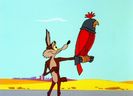 Road Runner and Wile E Coyote