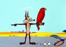 Road Runner and Wile E Coyote