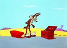 Road Runner and Wile E Coyote