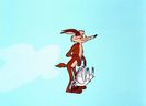Road Runner and Wile E Coyote