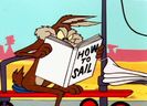 Road Runner and Wile E Coyote