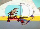 Road Runner and Wile E Coyote