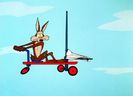 Road Runner and Wile E Coyote