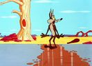 Road Runner and Wile E Coyote