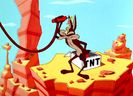 Road Runner and Wile E Coyote