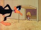 Looney Tunes