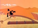 Looney Tunes