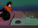 Looney Tunes