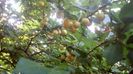IMG-20180701-WA0114