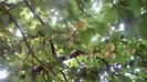 IMG-20180701-WA0116