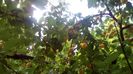 IMG-20180701-WA0118
