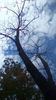 IMG-20180701-WA0122