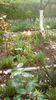 IMG-20190419-WA0005