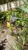 IMG-20190427-WA0001