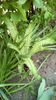 IMG-20190427-WA0009