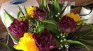 IMG-20190428-WA0001
