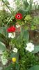IMG-20190430-WA0000