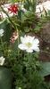 IMG-20190430-WA0003