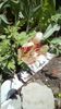 IMG-20190502-WA0001
