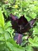 IMG-20190504-WA0010