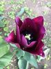 IMG-20190504-WA0011