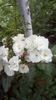 IMG-20190602-WA0013